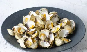 Un plato de berberechos al vapor, listos para disfrutar.