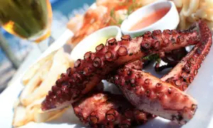 Tentáculos de pulpo a la plancha, dorados y jugosos, servidos con patatas y salsas.