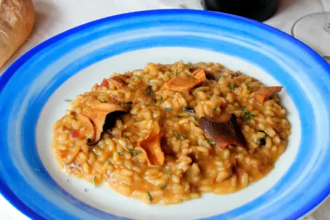Un cremoso risotto de boletus, adornado con hierbas frescas, servido en un plato azul y blanco.