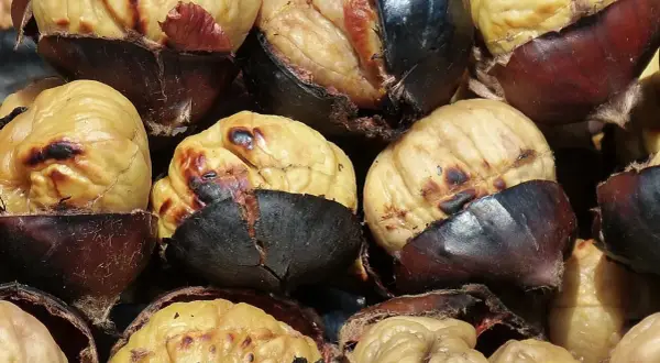 Castañas asadas en freidora de aire, con la piel oscura y la carne dorada y tierna. ¡Un bocado delicioso!