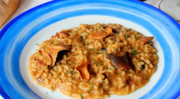 Un cremoso risotto de boletus, adornado con hierbas frescas, servido en un plato azul y blanco.