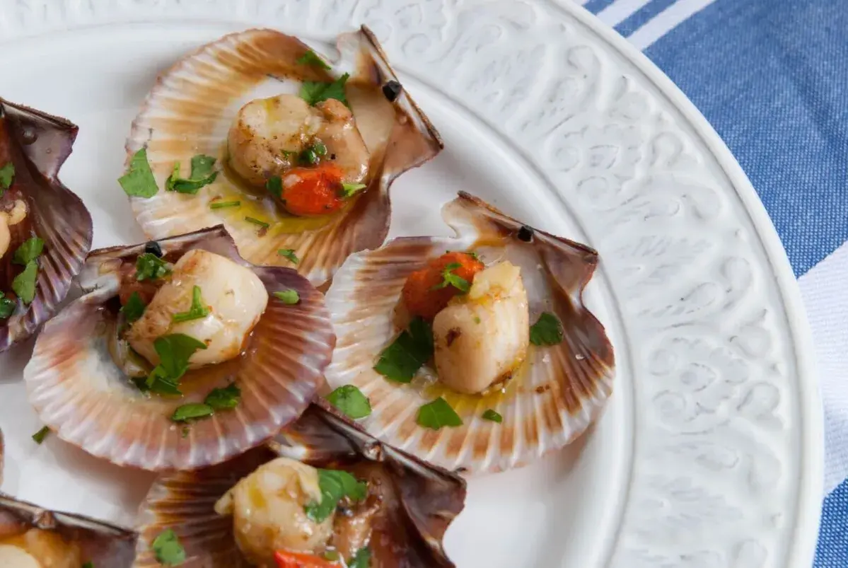 Zamburiñas a la plancha, doradas y jugosas, servidas en sus conchas con perejil fresco y un toque de pimiento rojo.