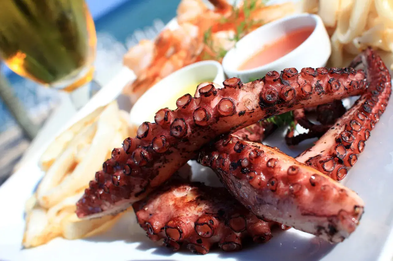 Tentáculos de pulpo a la plancha, dorados y jugosos, servidos con patatas y salsas.